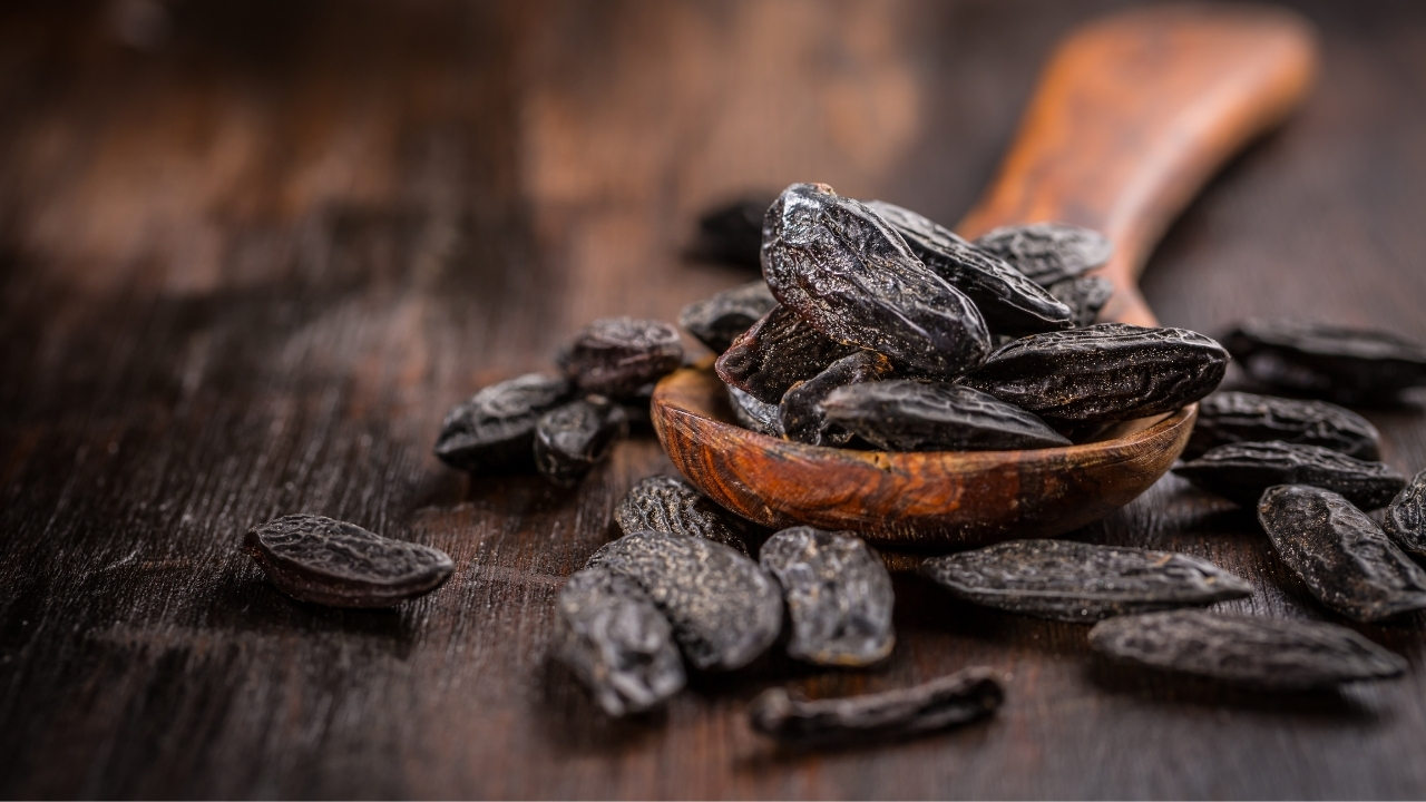 Givaudan - Tonka Bean - Image 1