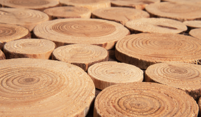 NORLIMBANOL® FIRMENICH 967412 - Image 1