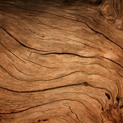 Bacdanol - Image 1
