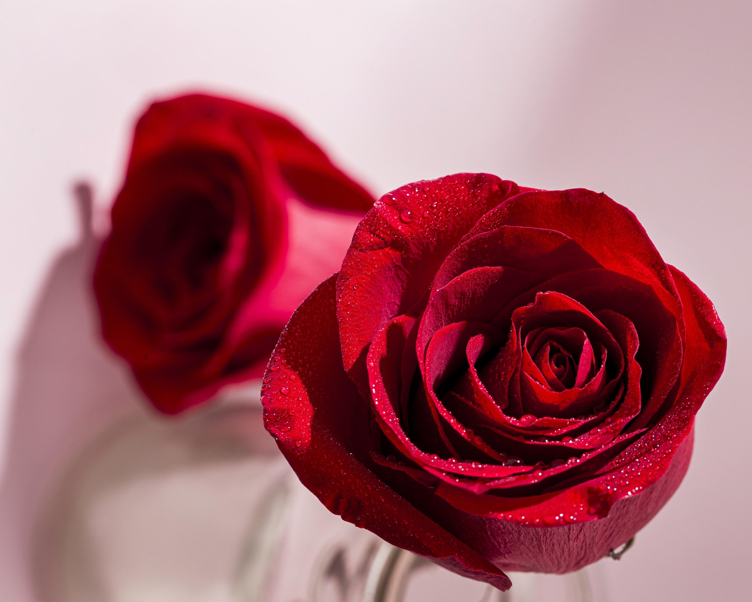 Rose Oxide (90-10) - Image 1