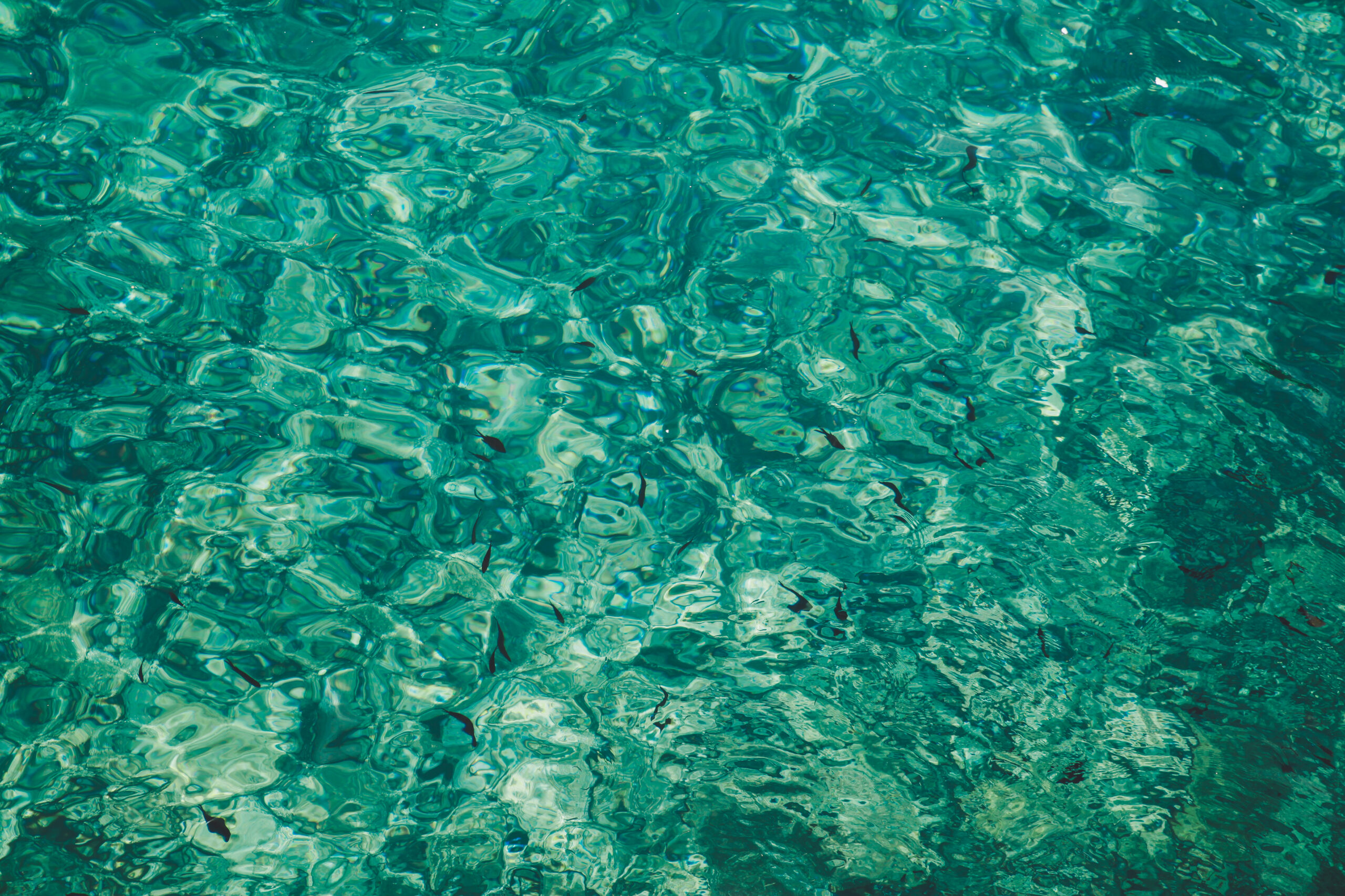Floralozone IFF - Image 1