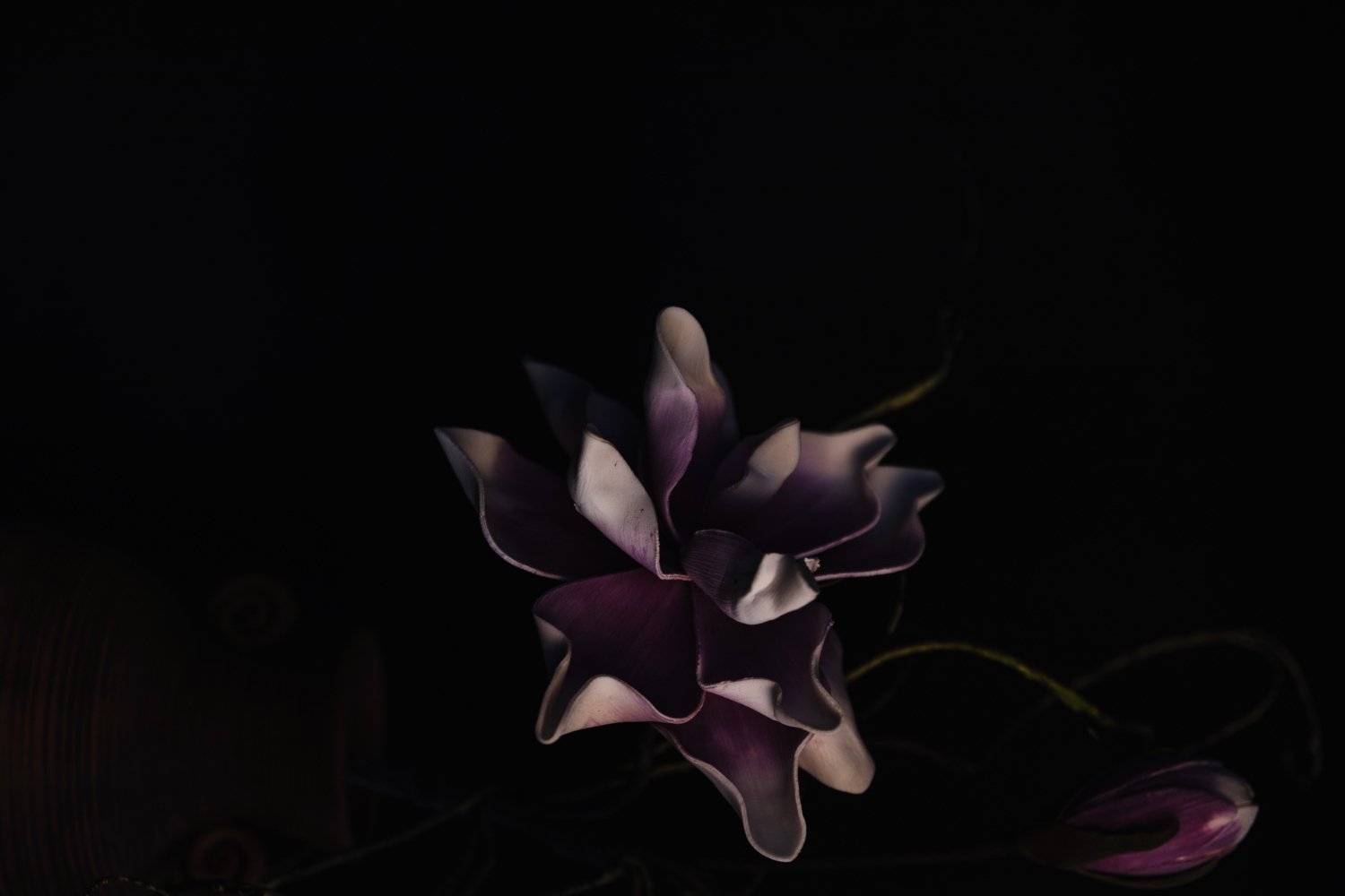 Givaudan - Dark Musk - Image 1