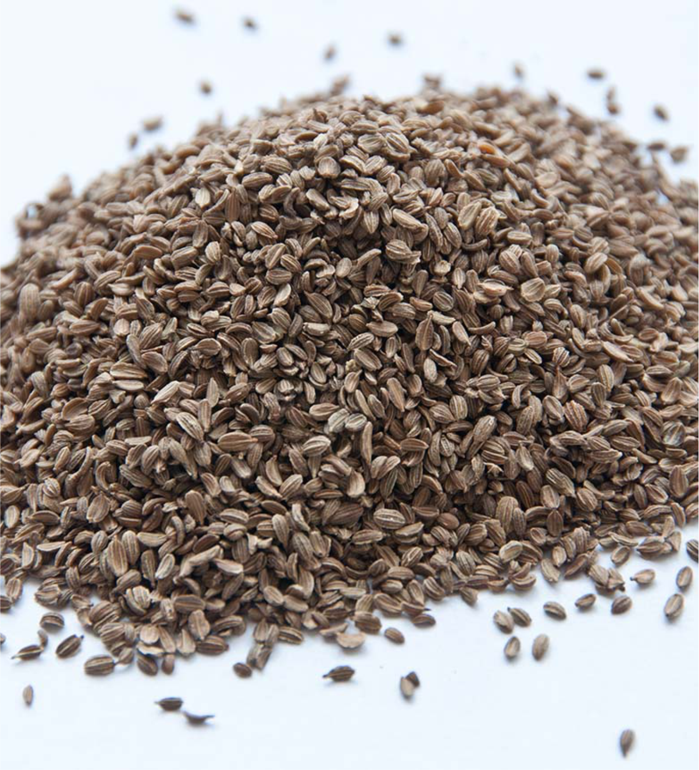 Carrot Seed Essential Oil